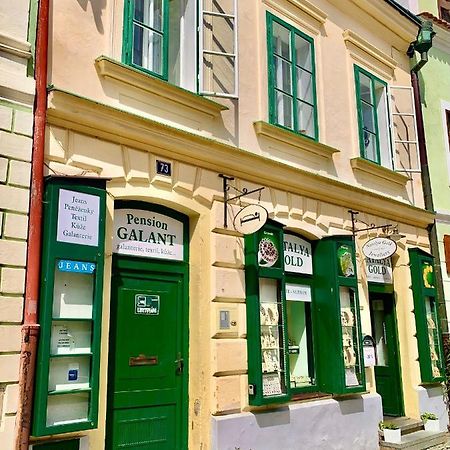 Apartman Galant Český Krumlov Eksteriør billede