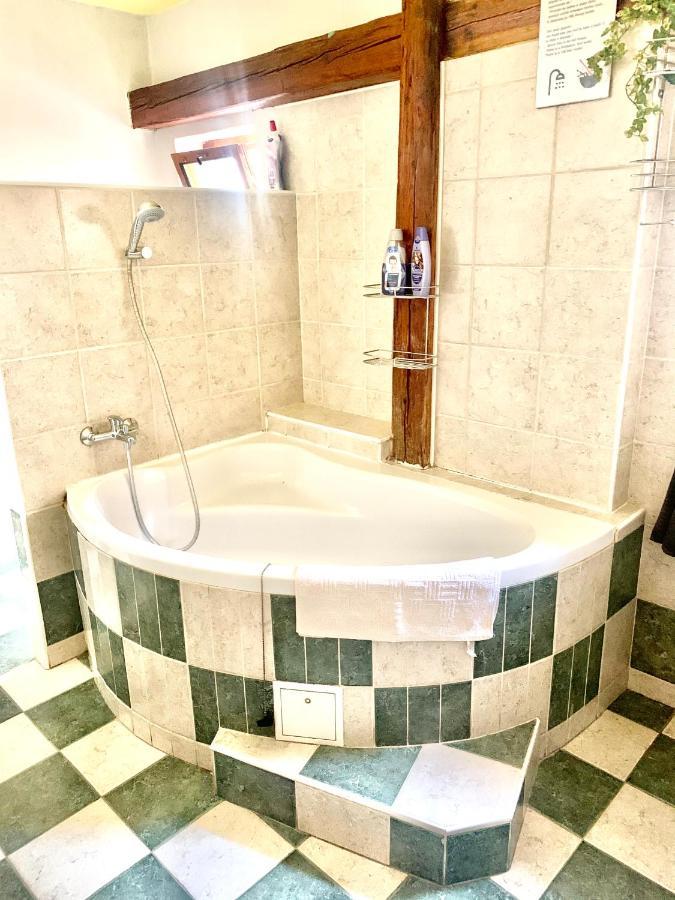 Apartman Galant Český Krumlov Eksteriør billede