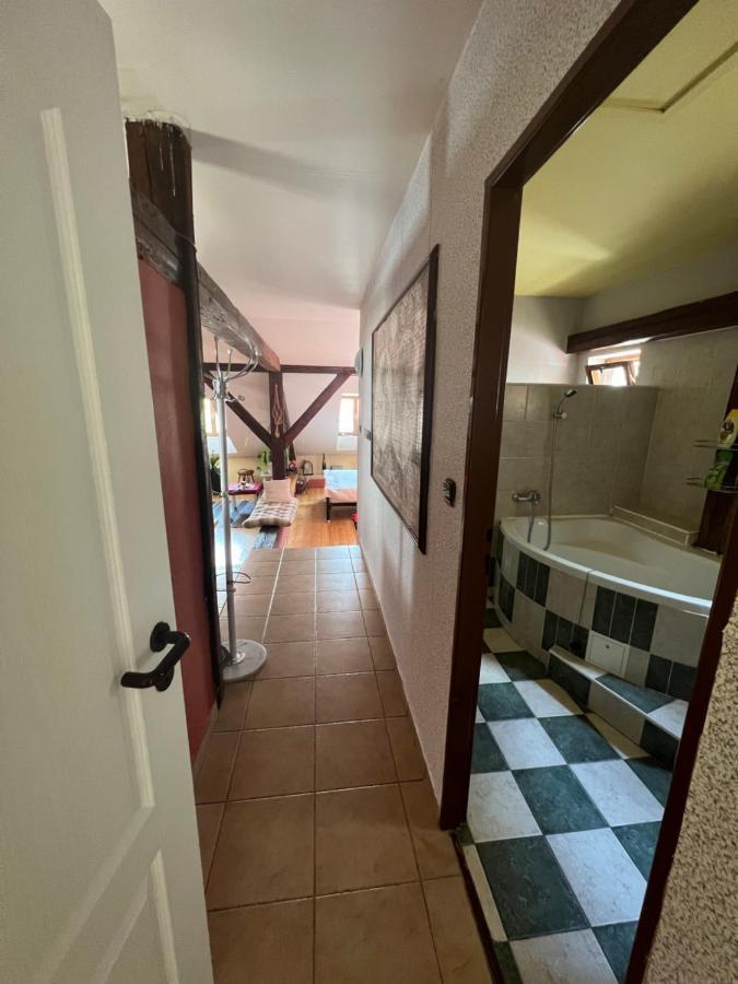 Apartman Galant Český Krumlov Eksteriør billede